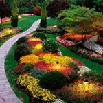 garden live wallpaper android application logo